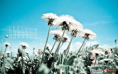 Free Wallpaper Desktop: Calendar May 2009 wallpaper Free Wallpaper Desktop: Calendar May 2009 wallpaper